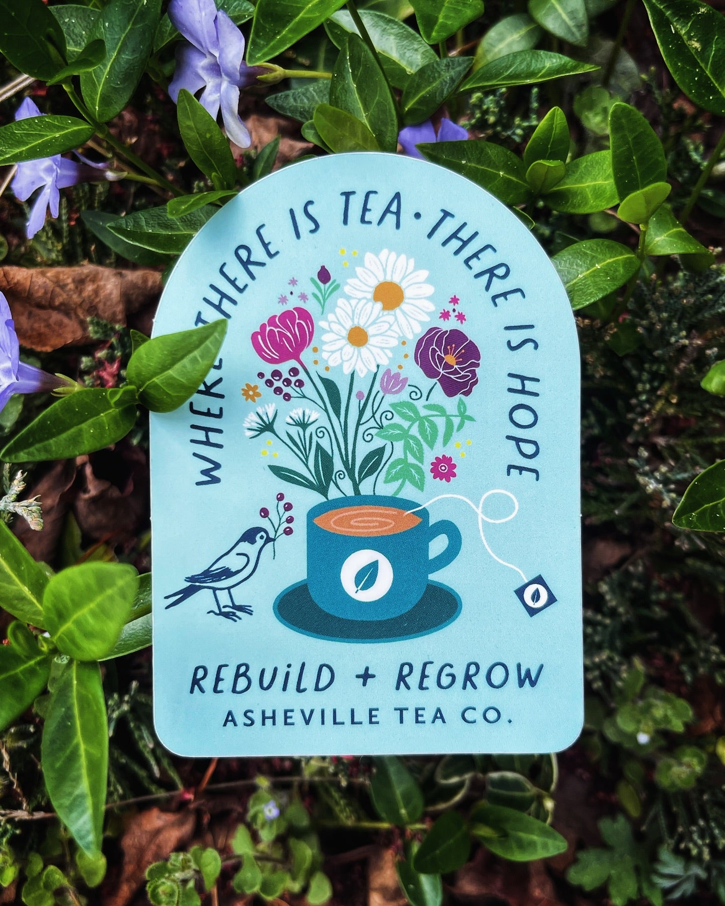 "Regrow + Rebuild" Sticker