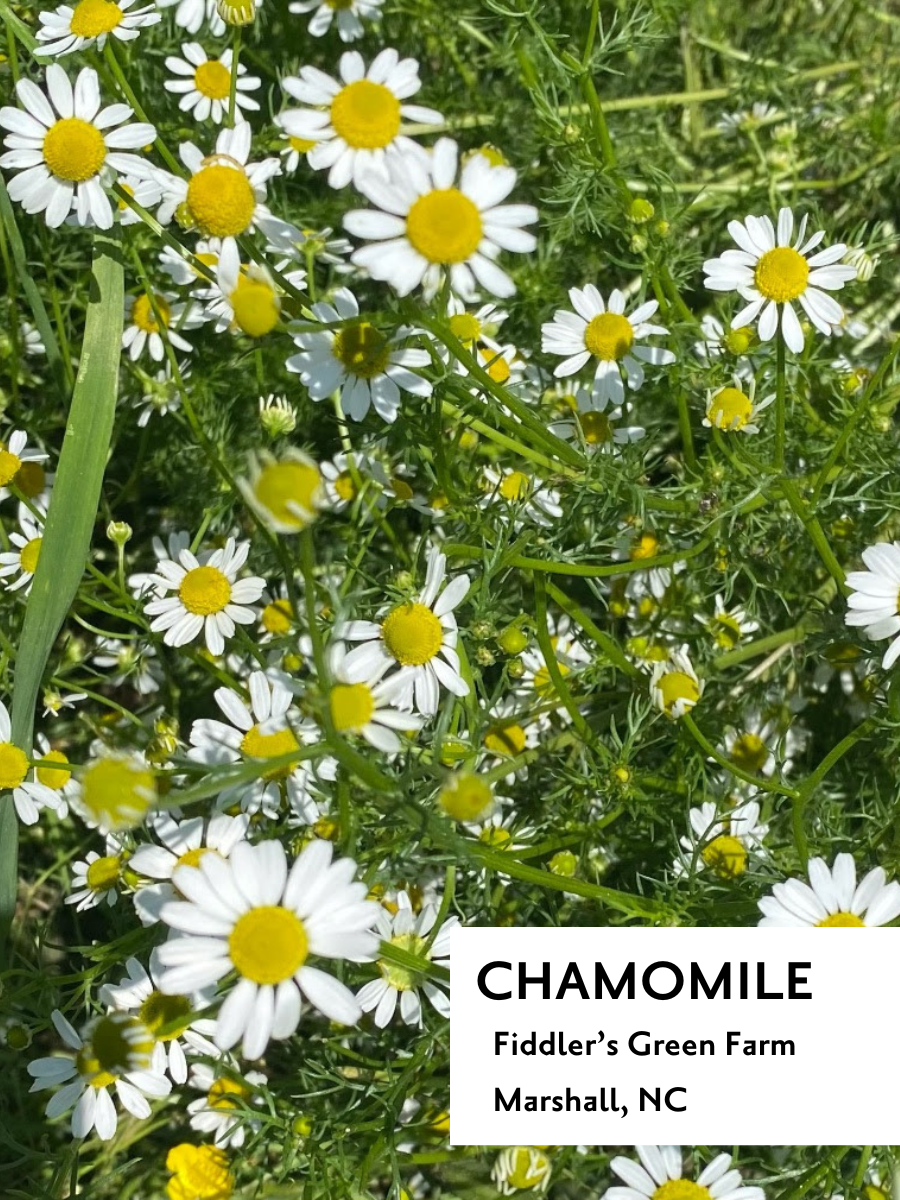 Chamomile Lavender - Tea Box